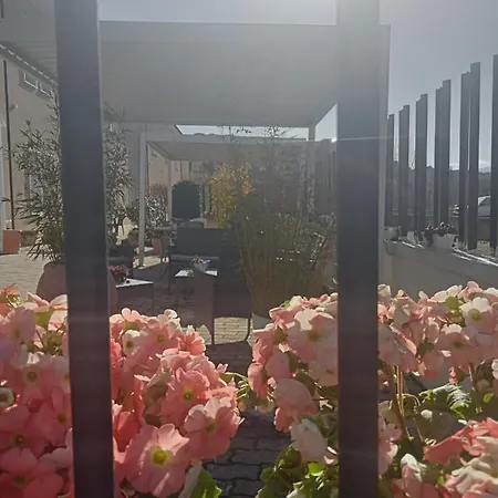 Porta Rivera 3*