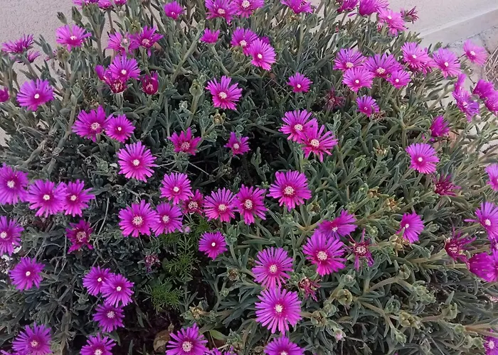 Hotel Porta Rivera 3*